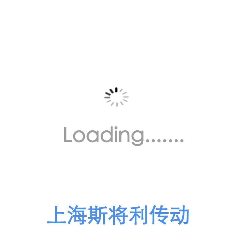 PMI PTR2010T3C5T-1000 pmi滚珠丝杠维修